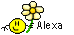 Alexa Smiley – Namen mit Blume